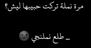 pin by ava 77 on نكت arabic calligraphy funny art