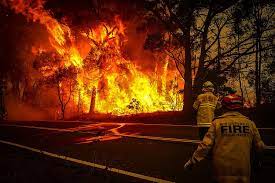 Standard dining table height, variations in drop down menu. Here Are The Parts Of Australia Where Fires Are Currently Burning People Com
