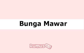 Maybe you would like to learn more about one of these? Bunga Mawar Ciri Ciri Karakteristik Dan Klasifikasi