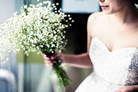 We did not find results for: Gypsum Wedding Bouquet Cheap Wedding Bouquets Inexpensive Bridal Bouquets Cheap Wedding Flowers