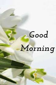 Some of the best & unique collection of good morning wishes with flowers' image as a background & good morning text message is also included flowers are the best sign of expressing your love and morning is the best time. Good Morning Flowers Good Morning With Flower Images Photos Pictures The State