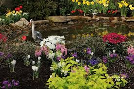 We also carry many varieties of trees, shrubs, and evergreens designed for wny's weather! Adams Fairacre Farms Garden Center Your Source For All Things Green And Growing Upstater