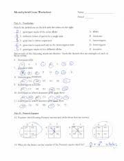 In plants, round seeds is dominant to wrinkled seeds and tall is dominant to short. Ya La Hiciste 5 Monohybrid Cross Worksheet Name Period Part A Vocabulary Match The Denitions On The Left With The Terms On The Right I 1 Genotypes Course Hero