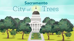 Check spelling or type a new query. Keep Planting In The City Of Trees With Smud Youtube