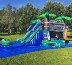 $195/day (an average rental time of 1.5 days/week) weekly income: Winter Garden Bounce House Rentals Fun Times