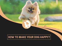 Maybe you would like to learn more about one of these? How To Make Your Dog Happy