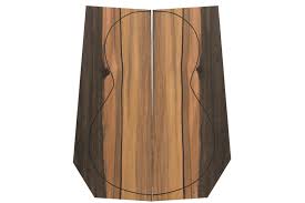 Image result for Diospyros crassiflora