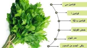 فوائد البقدونس الملقب بملك الخضروات لحن الحياة