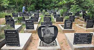 Midlands pet care offers a full range of personalized services to honor your pets as family members. Pet Cemetery