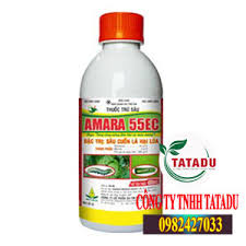 Amara 55EC