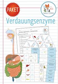 Verdauungsenzyme 4x Spiele Und Aktivitaten Unterrichtsmaterial Im Fach Biologie In 2020 Spiele Unterrichtsmaterial Lernen