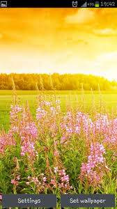 Our extensive collection of nature pictures allows for diverse use. Free Download This Live Wallpaper Supports Portrait And Landscape Orientation 720x1280 For Your Desktop Mobile Tablet Explore 44 Portrait Orientation Wallpapers Vertical Desktop Wallpaper Portrait Mode Wallpaper 1080 X 1920 Wallpaper Portrait