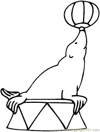 A sea lion's feet are called flippers. Sea Lion Coloring Page 04 Coloring Page For Kids Free Seal Printable Coloring Pages Online For Kids Coloringpages101 Com Coloring Pages For Kids