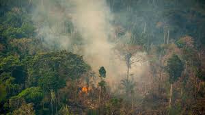 It is home to more than 24 million people in brazil alone, including hundreds of thousands of indigenous peoples belonging to 180 different groups. Unchecked Fires Could Turn The Amazon Into A Savannah Cnn