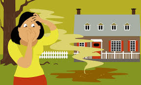We did not find results for: Know These 7 Signs And Symptoms Of Septic Tank Problems