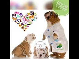 Dai un'occhiata alla mappa che trovi in. Celebracion Dia Del Medico Veterinario 2017 Youtube