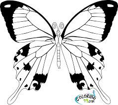 Simple easy butterfly coloring pages. Easy Butterfly Coloring Pages Novocom Top