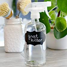 How to get rid of gnats in my vegetable garden. 3 Ingredient Homemade Gnat Killer Mom 4 Real
