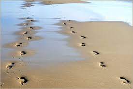 Lass uns nicht von morgen reden nie zuvor in meinem. Spuren Im Sand Foto Bild Summer Sommer Wasser Bilder Auf Fotocommunity