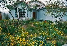 Front & back yard landscaping services. Defining The New American Cottage Garden Finegardening