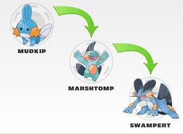 Metapod Evolution Chart