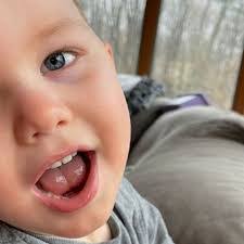 Keith Studer's Instagram, Twitter & Facebook