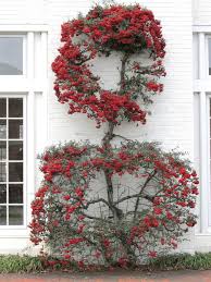 1308 jamestown rd, williamsburg, va 23185, usa. Diggin In Well Planned Gardens Offer Year Round Beauty