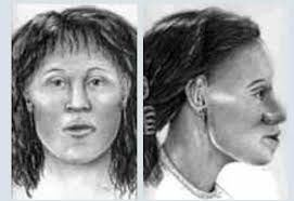 Why is an Alaskan case being investigated here?