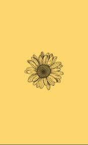 Yellow Flower Wallpaper Iphone Wallpaper Yellow Yellow Aesthetic Pastel Sunflower Wallpaper