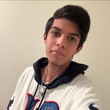 I absolutely 💯 cannot wait for Mega Sceptile's return!!!!