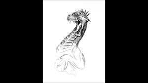 Drawing A Dragon On Ipad Pro Time Lapse Zeichnen Eines Drachen Auf Dem Ipad Pro Youtube