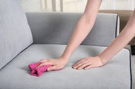 Sauge zuerst das katzenpipi mit einem handtuch auf. Sofa Reinigen 10 Einfache Tipps Zum Couch Reinigen
