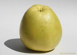 Image result for Granny Smith