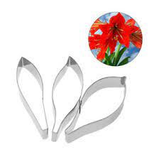 Check spelling or type a new query. Wholesale Sugar Flowers Cakes Buy Cheap In Bulk From China Suppliers With Coupon Dhgate Com