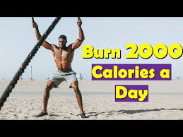 Are You Able To Burn 3000 Calories Each Day With Workouts Weight Management Noahstrength Com