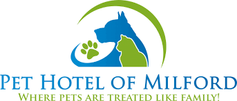Not your average dog boarding kennel or cat boarding f. Pet Hotel Near Me Contact Us Pet Hotel Of Milford