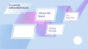 PLANTAS ORNAMENTALES. by ASHLEY ESTHER TOALA RIVERA