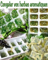 Les Herbes Aromatiques Dans La Cuisine Je Cuisine Mon Potager Cuisine Trucs Et Astuces Cuisine Recettes De Cuisine