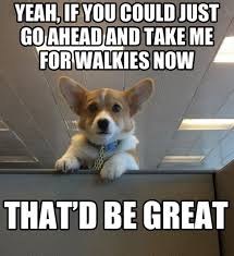 Feel prouder and more inspired to do your job with this awesome and totally cool good job meme collection. Funny Dog Work Quotes Dog Quotes We Rounded Up The Best Of The Best Dogtrainingobedienceschool Com