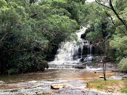 Somersby falls picnic area is the perfect place to escape from everyday life. Visiting Somersby Falls On The Nsw Central Coast Adventure Baby