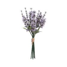 Layaknya daun kering yang masih bergantung pada dahan pohon, hanya perlu di sentuh sekali agar jatuh lalu hancur begitu saja. Pin Oleh ìˆ˜ì—° ê³µ Di Png Ilustrasi Daun Bunga Kering Tanaman