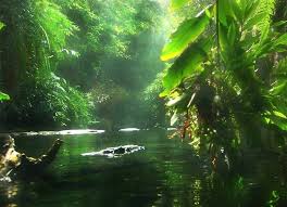 Resultado de imagen para el amazonas