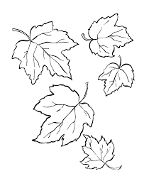 In postare veti gasi mai multe imagini de colorat cu frunze. Imagini Pentru Imagini Cu Frunze De Toamna De Colorat Fall Leaves Coloring Pages Leaf Coloring Page Fall Coloring Pages