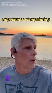 Glenn Mattson (@buildingblocksofsuccess)