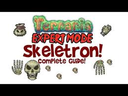 Terraria skeletron expert guide (+normal too! Steam Community Video Skeletron Expert Guide Normal Too Boss Fight Drops Arena How To Summon Clothier Voodoo Doll
