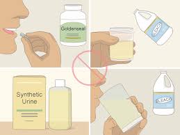 Usually positive tests are then sealed and sent to a lab for confirmation. How To Pass A Drug Test With Home Remedies 15 Steps