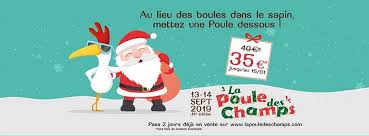 Banniere Facebook Pour La Poule Des Champs Banniere Facebook Webdesigner Freelance Poule