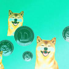 Nano Dogecoin Is It A Doge Knockoff Why Did It Spike 9 000 Deseret News