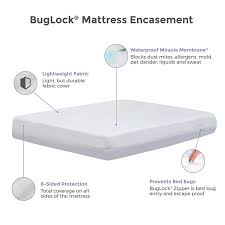 Protect A Bed Buglock Bed Bug Proof Mattress Cover 6 Sided Encasement Protect A Bed