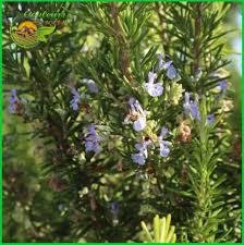 We did not find results for: Au Maroc Couleurs Terroirs Maroc Terre D Exception Facebook